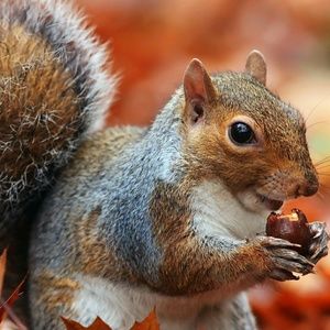 Meet your Posher, Diane